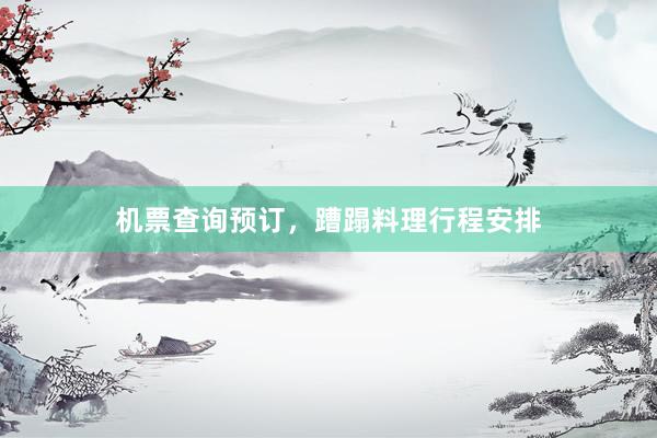 机票查询预订，蹧蹋料理行程安排