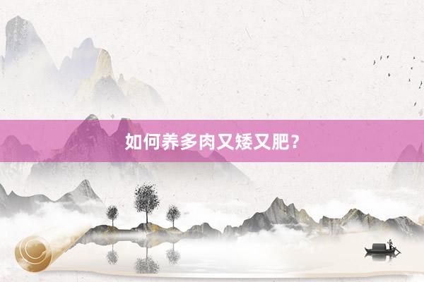 如何养多肉又矮又肥？