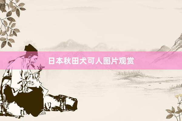 日本秋田犬可人图片观赏